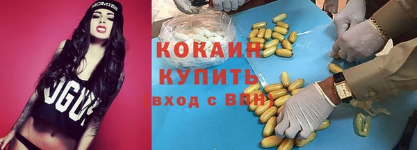 индика Алексеевка