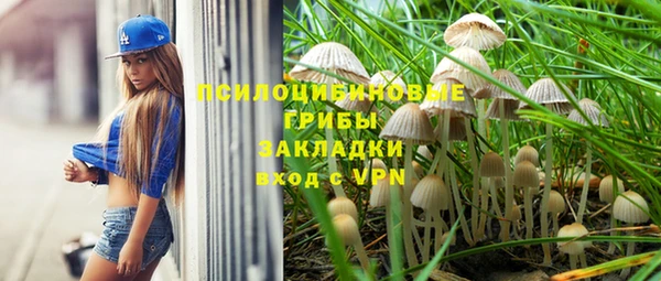ПСИЛОЦИБИНОВЫЕ ГРИБЫ Алзамай