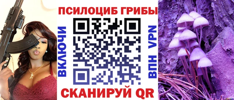 Галлюциногенные грибы мицелий где купить наркоту Кола